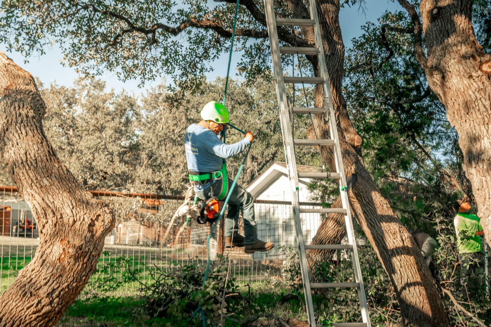 Land Clearing